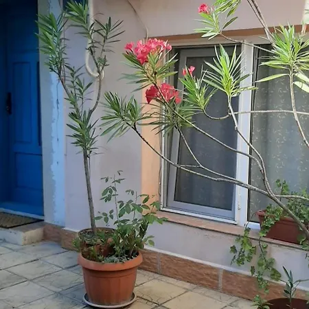 Ground Floor Summer House Apartment Varna